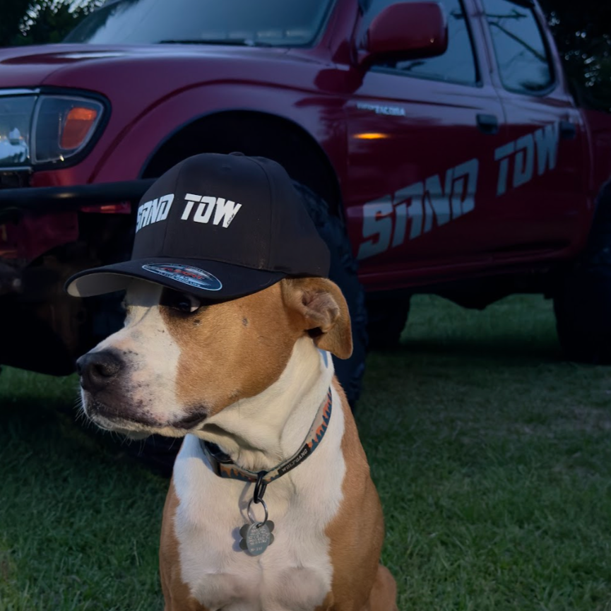 Dog wearing a  black cap with 'SAND TOW' logo in front of a red truck