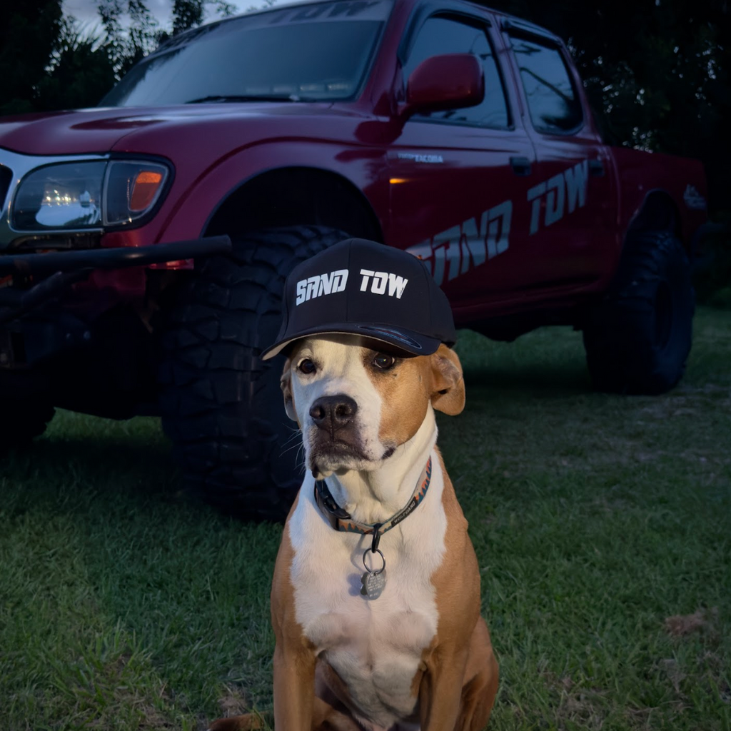 Dog wearing a cap with 'Sand Tow' text in front of a red truck.