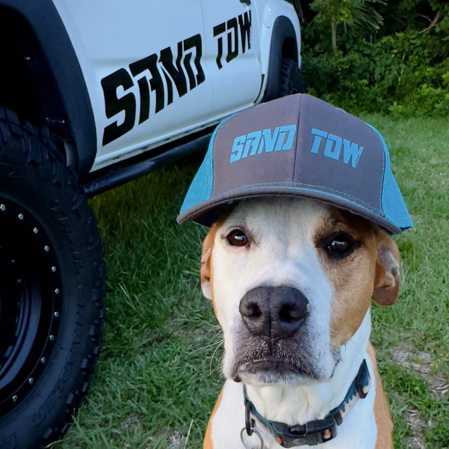 Dog wearing a cap with 'SAND TOW' logo in front of a white truck
