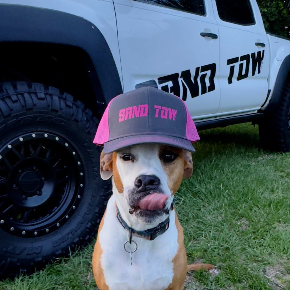 Dog wearing a cap with 'Sand Tow' logo in front of a white truck with 'Sand Tow' branding.