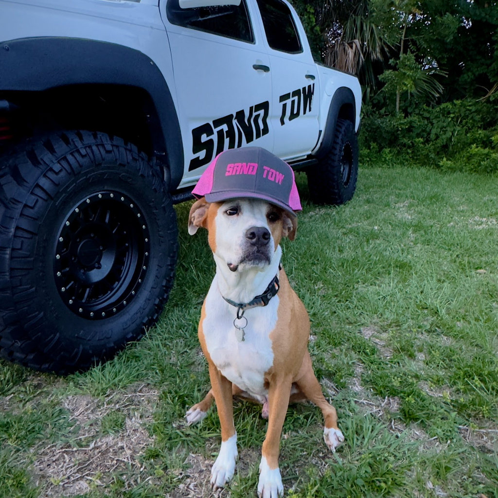Dog wearing a cap sitting in front of a white truck with 'SAND TOW' branding.