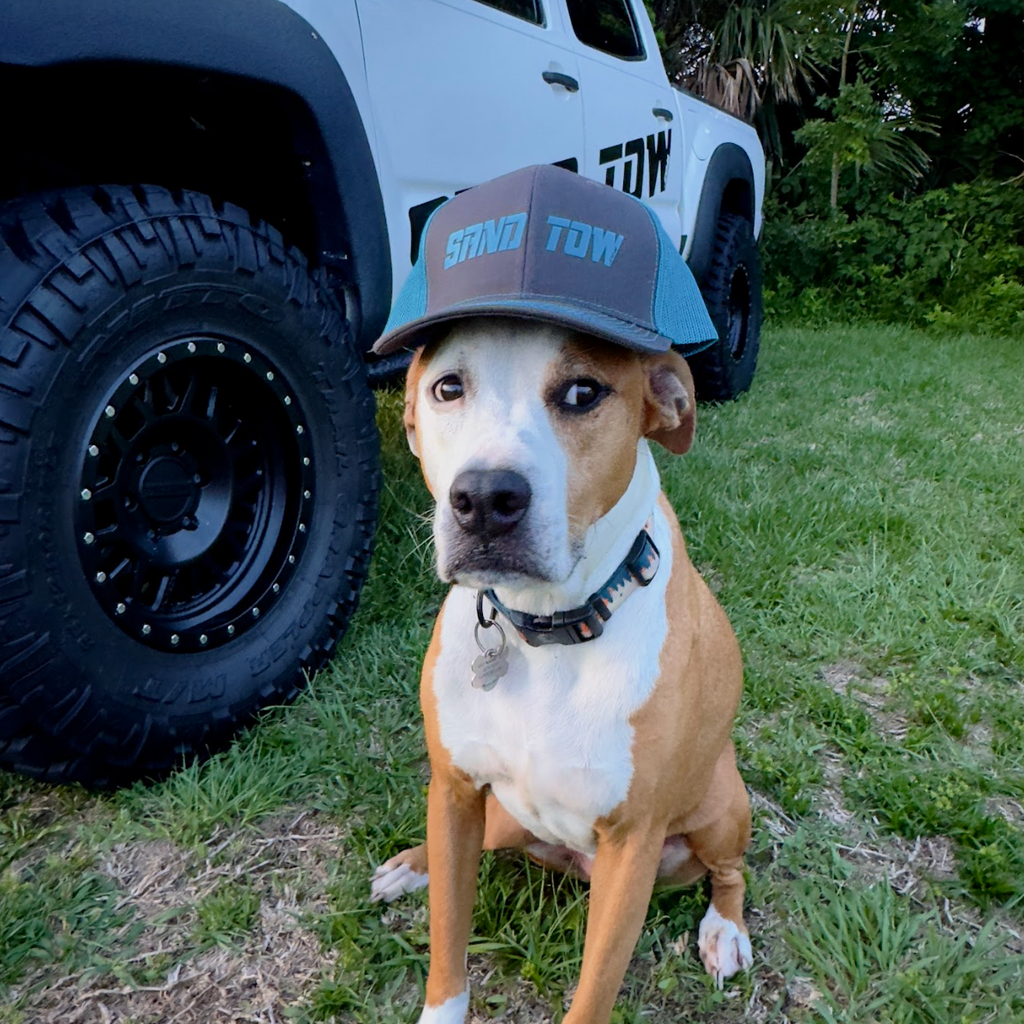 Dog wearing a cap with 'Sand Tow' branding in front of a white truck.